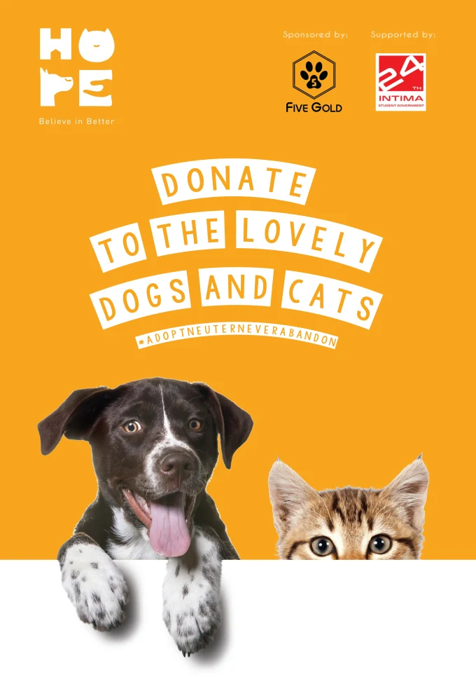 pets